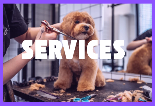 Services