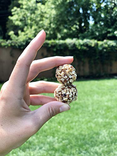 The GFB Gluten Free Protein Bites, Peanut Butter, 4 Ounce, Vegan, Dairy Free, Non GMO, Soy Free - .