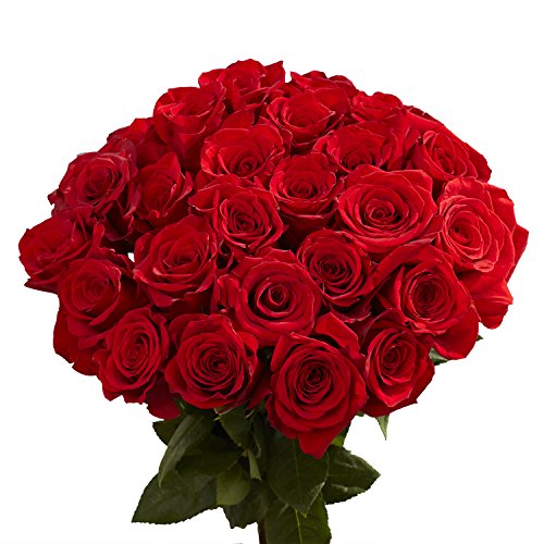 Roses for Valentines Day- 50 Red Long Stems Flowers - Next Day Delivery - .