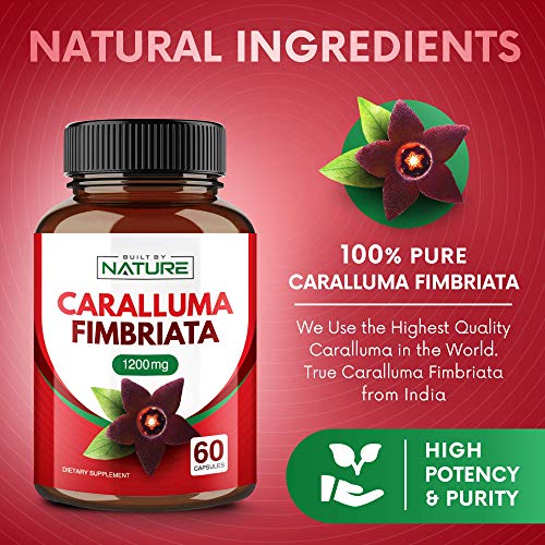 Caralluma Fimbriata Extract 1200mg - Natural Appetite Suppressant Supplement for Weight Loss - 60 Capsules (30 Day Supply) - .