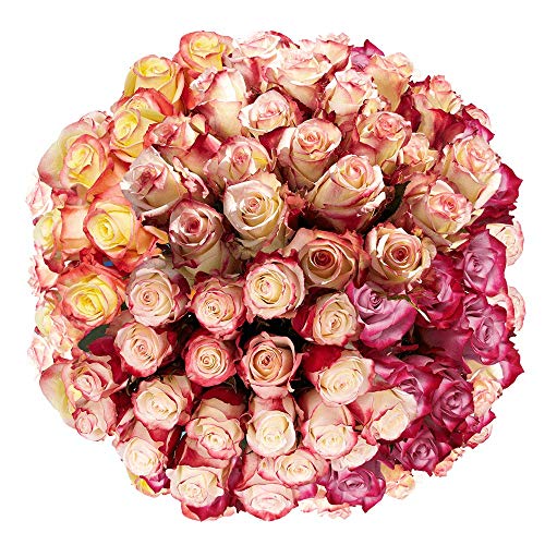Roses for Valentines Day- 50 Red Long Stems Flowers - Next Day Delivery - .
